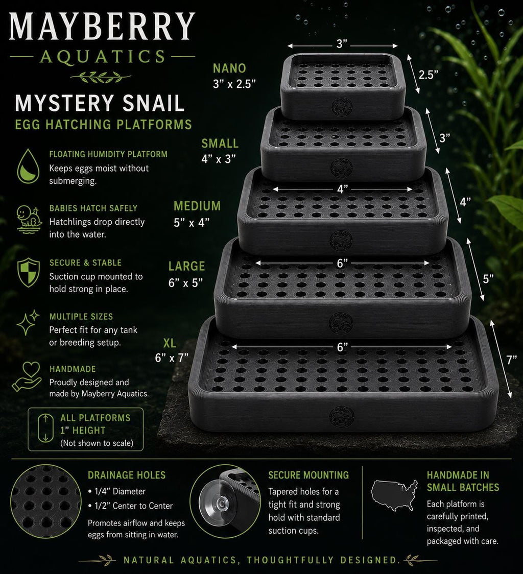 Mystery Snail Egg Hatching Platform | Floating Humidity Incubator, Suction Cup Mounted, Aquarium Breeder Tool