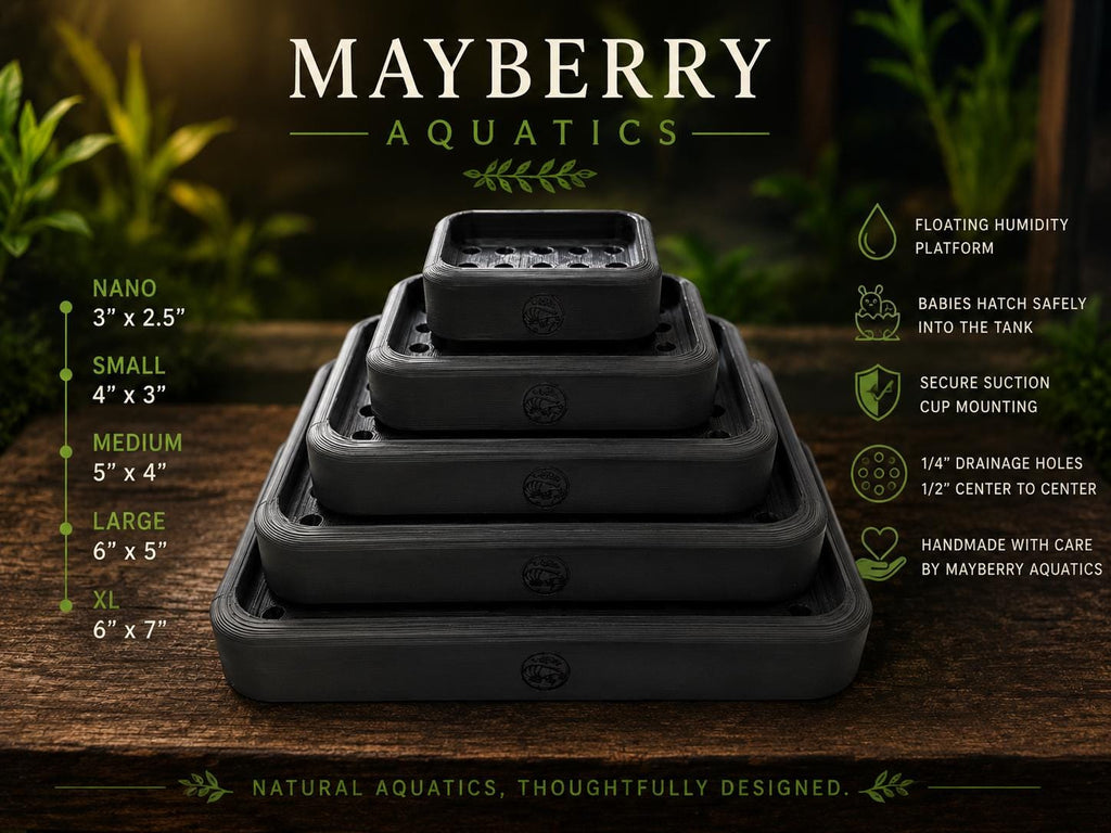 Mystery Snail Egg Hatching Platform | Floating Humidity Incubator, Suction Cup Mounted, Aquarium Breeder Tool
