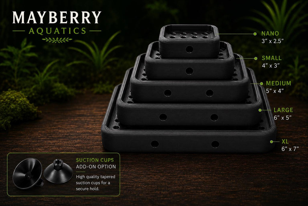 Mystery Snail Egg Hatching Platform | Floating Humidity Incubator, Suction Cup Mounted, Aquarium Breeder Tool