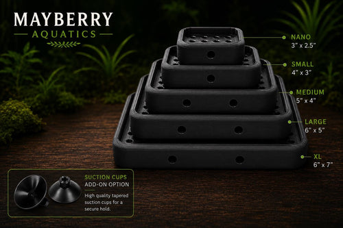 Mystery Snail Egg Hatching Platform | Floating Humidity Incubator, Suction Cup Mounted, Aquarium Breeder Tool