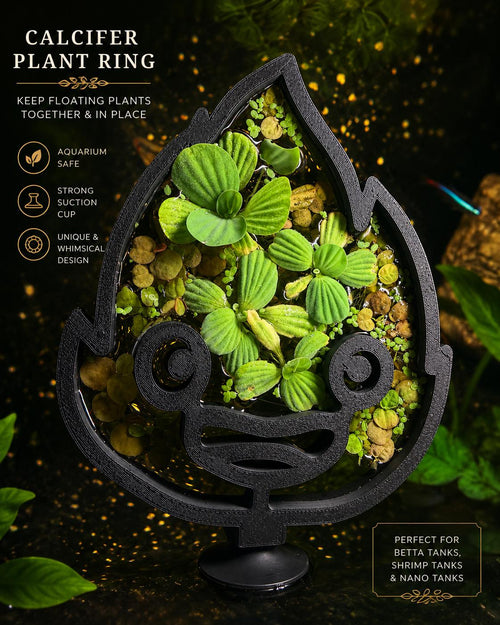 Calcifer Feeding Rings | Floating Aquarium Plant Holder, 3D Printed Accessory