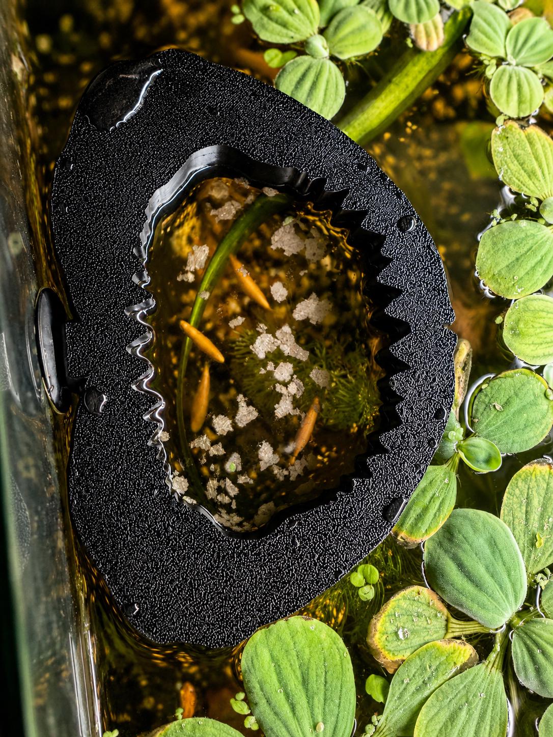 Shark Jaw Floating Plant Holder & Feeding Ring | 3D Printed Aquarium Accessory