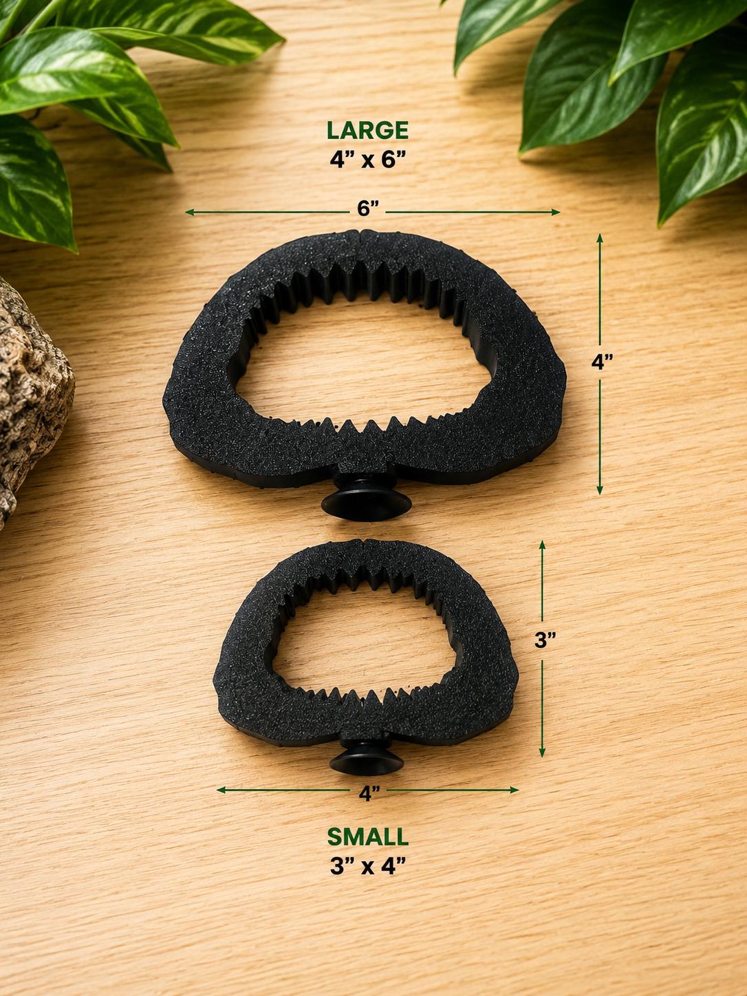Shark Jaw Floating Plant Holder & Feeding Ring | 3D Printed Aquarium Accessory