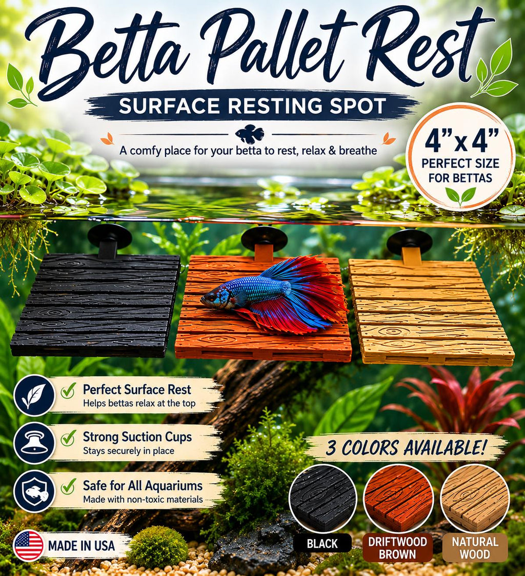 Betta Fish Pallet Rest | Aquarium Surface Resting Spot, 4"x4" Suction Cup Bed